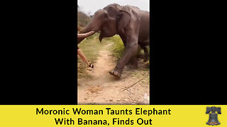 Moronic Woman Taunts Elephant With Banana, Finds Out