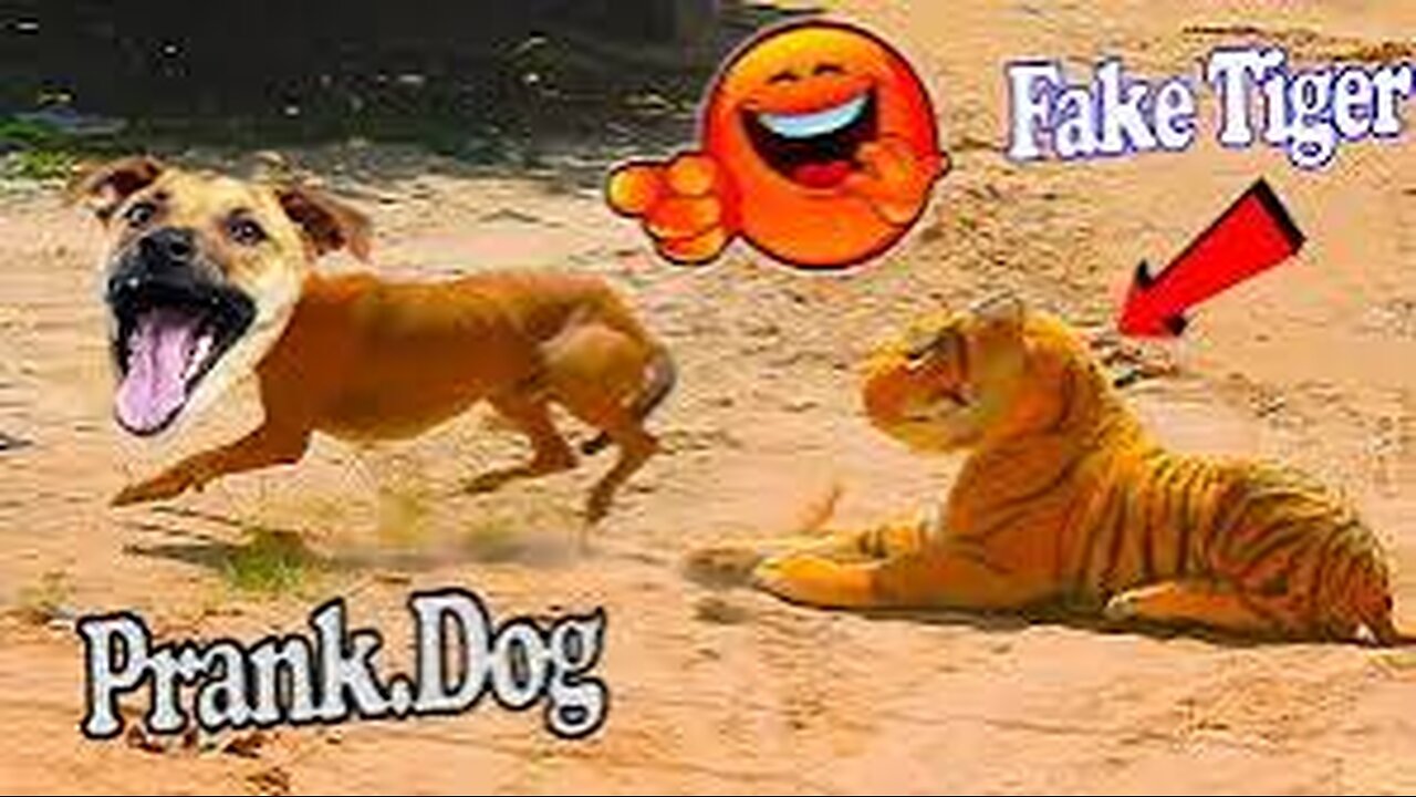 Troll Prank Dog Funny & Fake Lion & Fake Tiger Prank to Dog