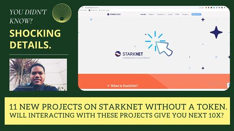 11 New Projects On Starknet Without A Token. Will Interacting With These Projects Give You Next 10x?