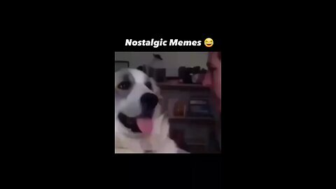🤣