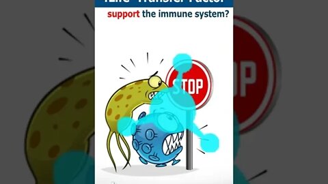 How does 4Life Transfer Factor support the immune system?