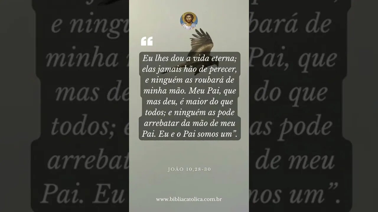 João 10,28-30 - Eu lhes dou a vida eterna; elas jamais hão de perecer, e ninguém as roubará de minha