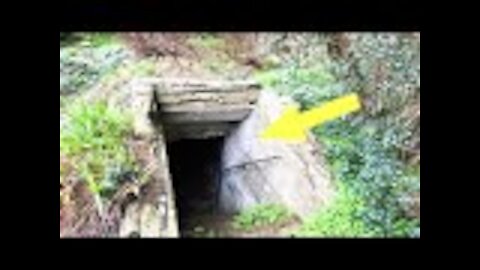 Man finds secret tunnel in garden, jumps back when he sees faces on the walls