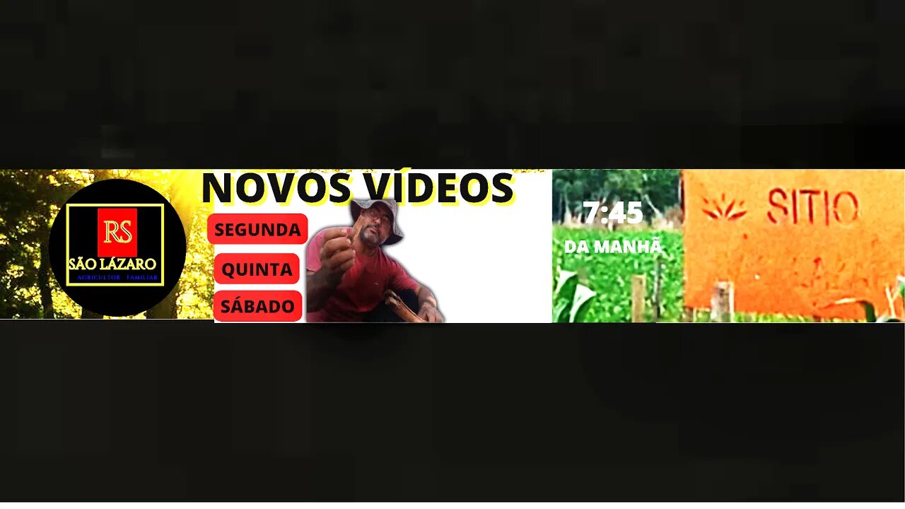 Minha transmissão