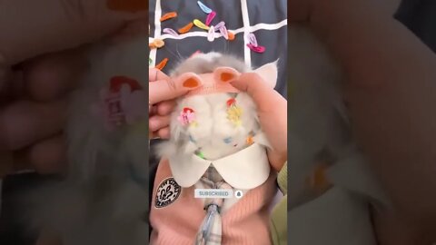 funny cat videos | cute cat videos| cute animals funny cats #shorts #shortsfunny #cutecat #funnycat