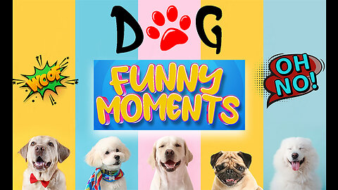 It's time to LAUGH with Dog's Funny Dog Videos 2023