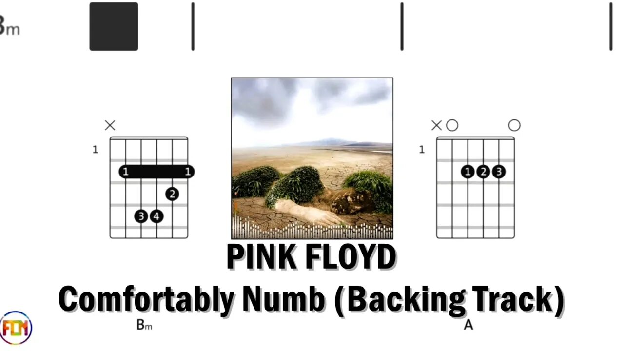 PINK FLOYD Comfortably Numb Backing Track FCN GUITAR CHORDS & LYRICS