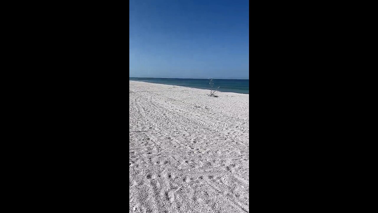 Livestream Clip - Barefoot Beach, FL Before Ian 8/26/2022 PT 2