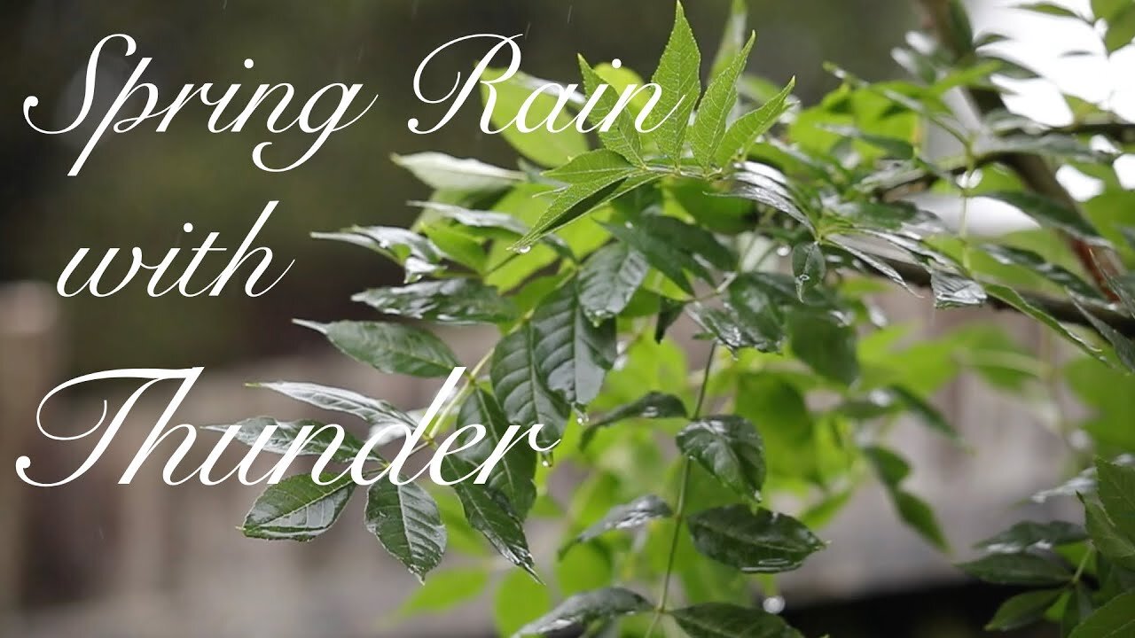 Spring Rain with Thunder, Relaxing Sleep Music, Sleeping Music, Stress Relief, Meditation Music