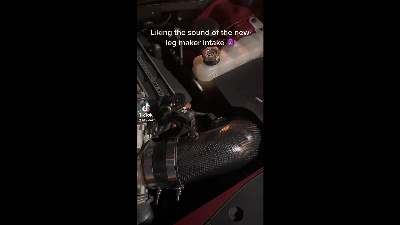HELLCAT GETS NEW KITTY TOY 👀👀