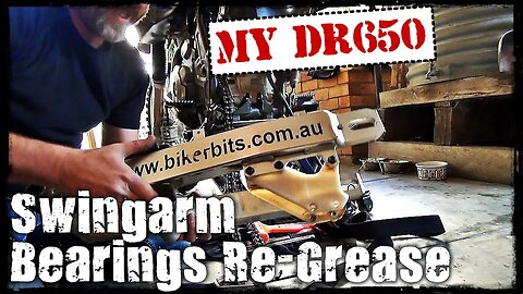 DR650 Swingarm Bearing Re Grease