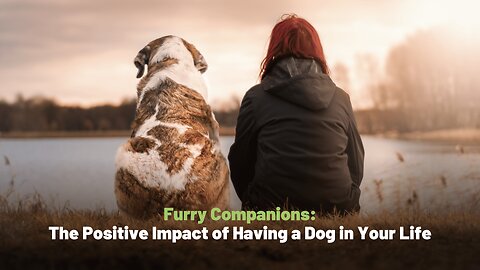 Furry Companions: The Positive Impact of Having a Dog in Your Life