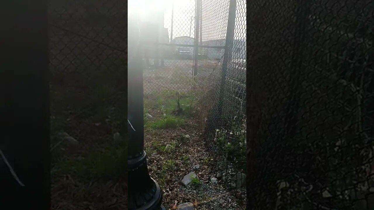 Stealthy #gangstalkers be hidin' in plain sight.