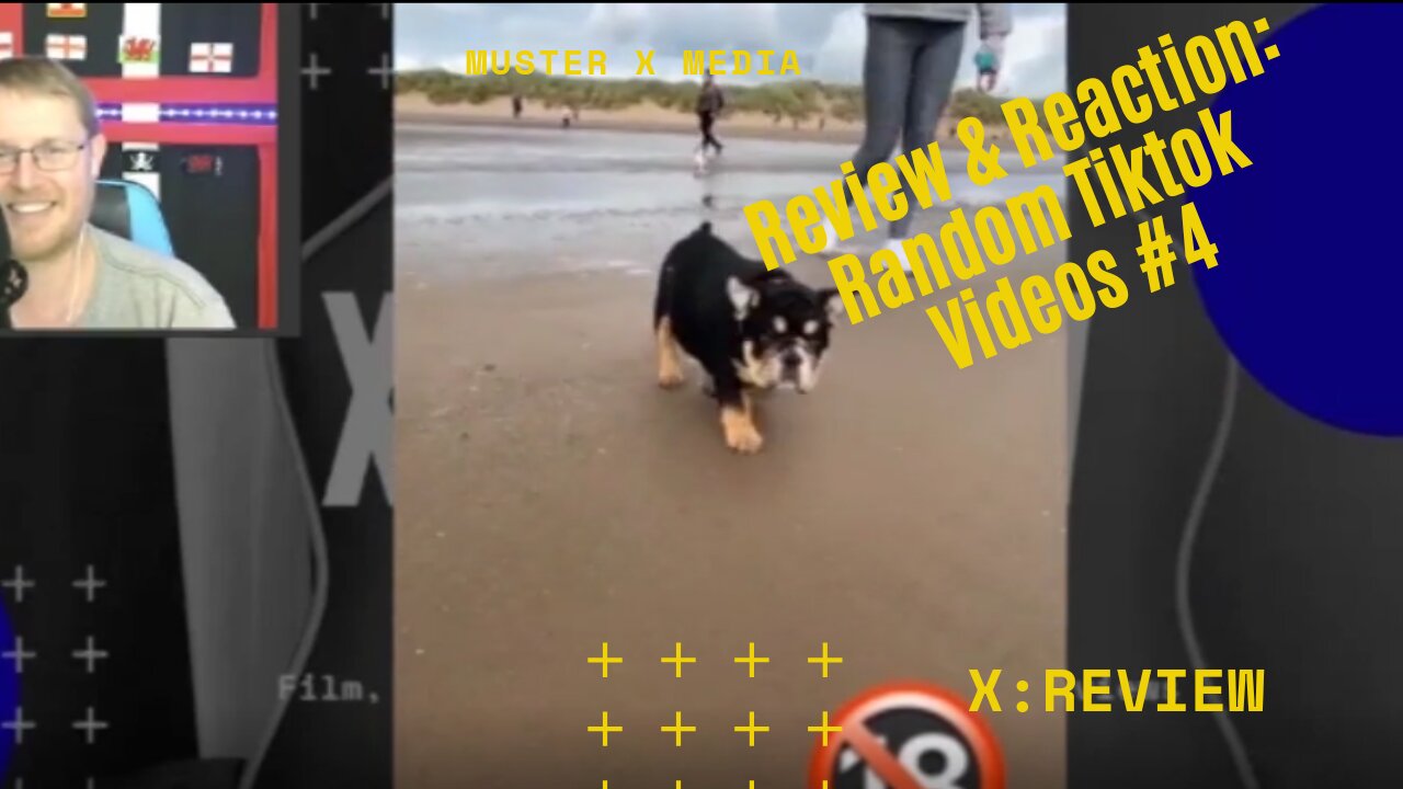 Review And Reaction: Random TikTok Videos #4