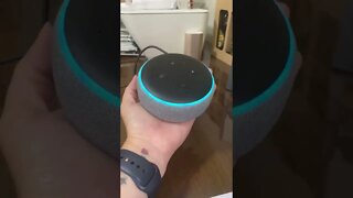 Alexa falando que o Palmeiras tem Mundial