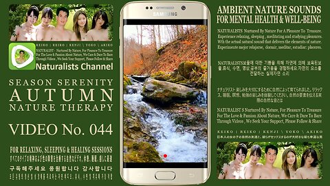 Nature Asmr | Shinrin-Yoku Meditation For Relaxation | No. 044