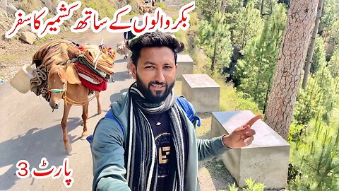 Bakrwals Traveling in Kashmir | Nomads Life | Khana Badosh | Day 3