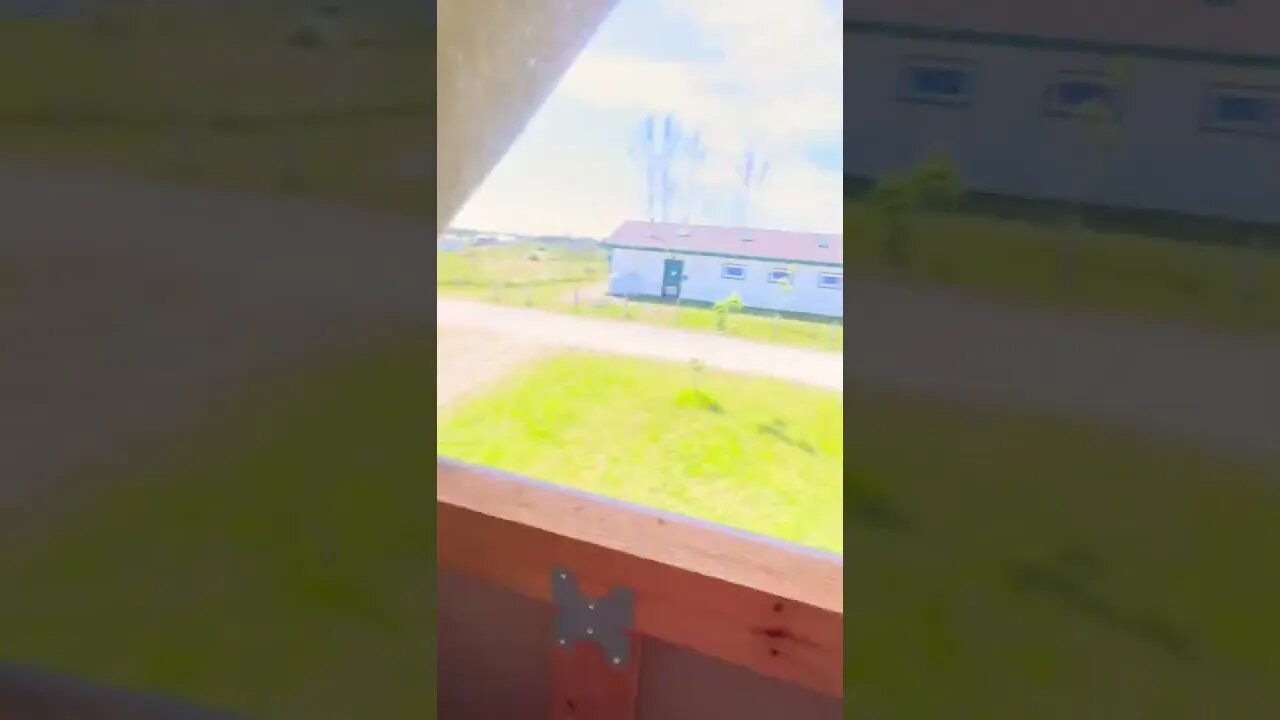 Top bunk view in an oTENTik tent