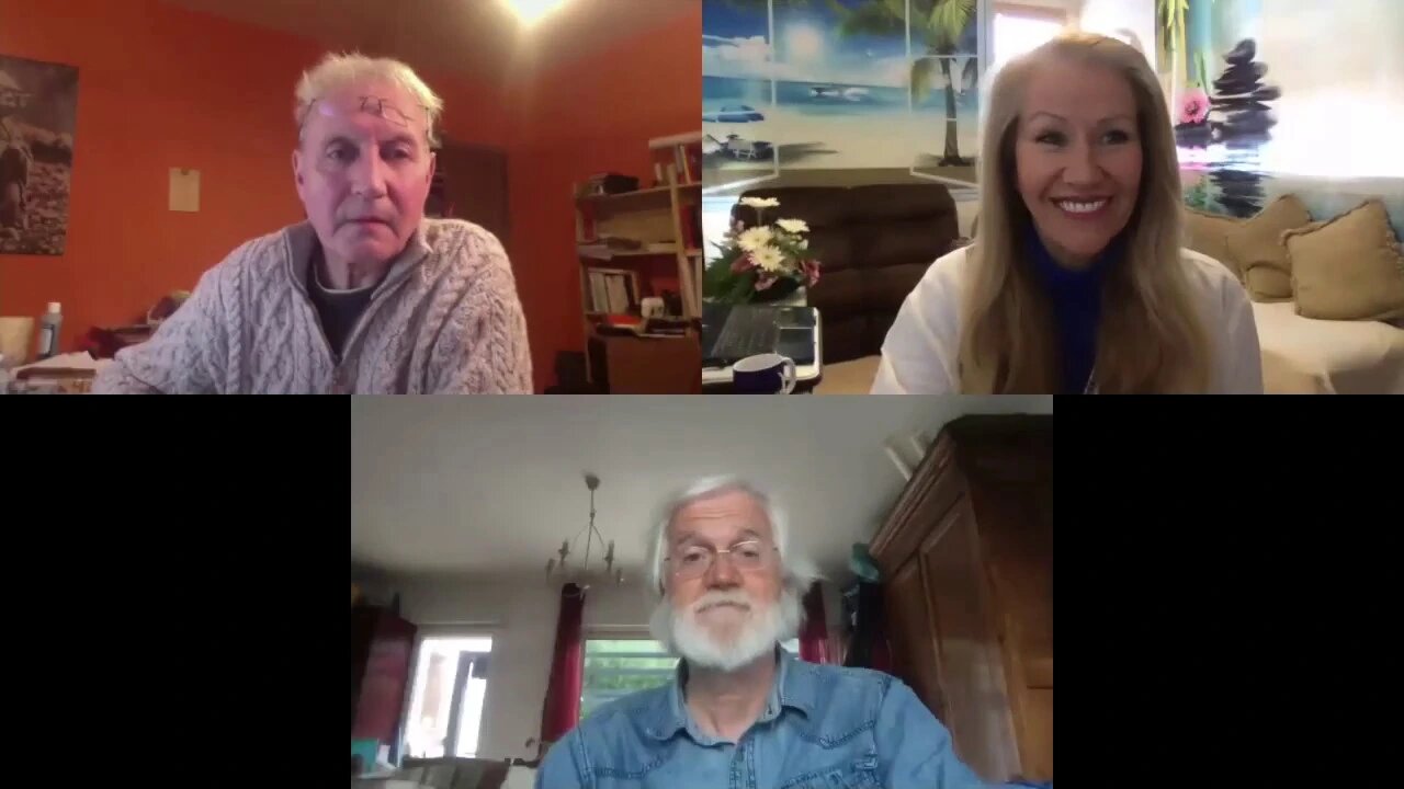 Addressing CoVid-19 Global Meditation with Dan Winter and Patrick Botte