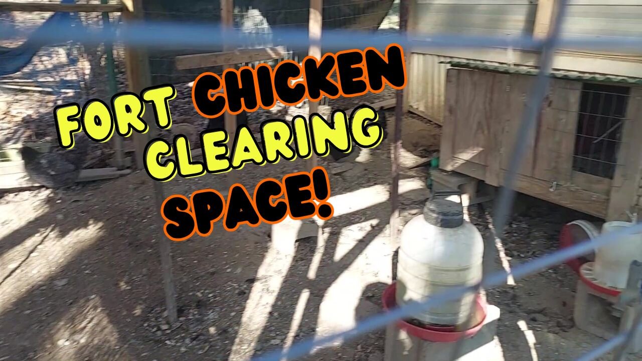 Clearing a site for new chicken coop and run | I'm calling it Fort Chicken