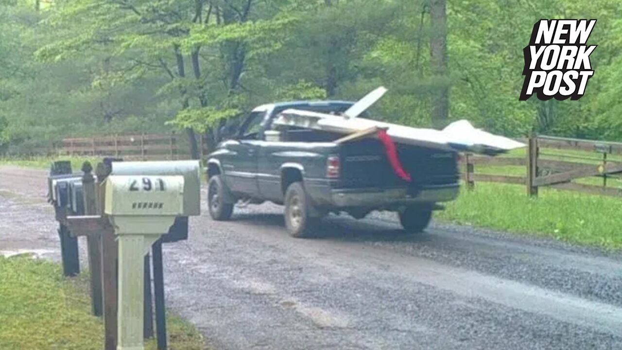 Wing stolen from wreck of plane crash that killed Georgia surgeon: police