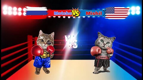 Cat's funny #🐈‍⬛Cat boxing match who will win