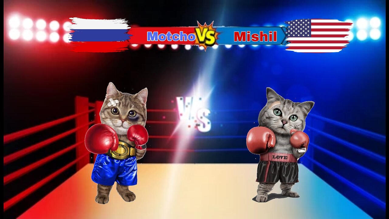 Cat's funny #🐈‍⬛Cat boxing match who will win