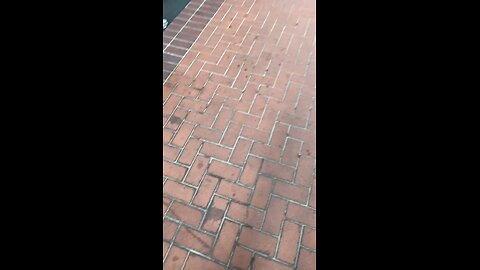 just another day in 3rd world America PDX