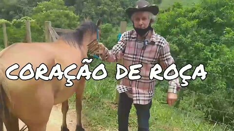 CORAÇÃO DE ROÇA SEU PROGRAMA DE DOMINGO.