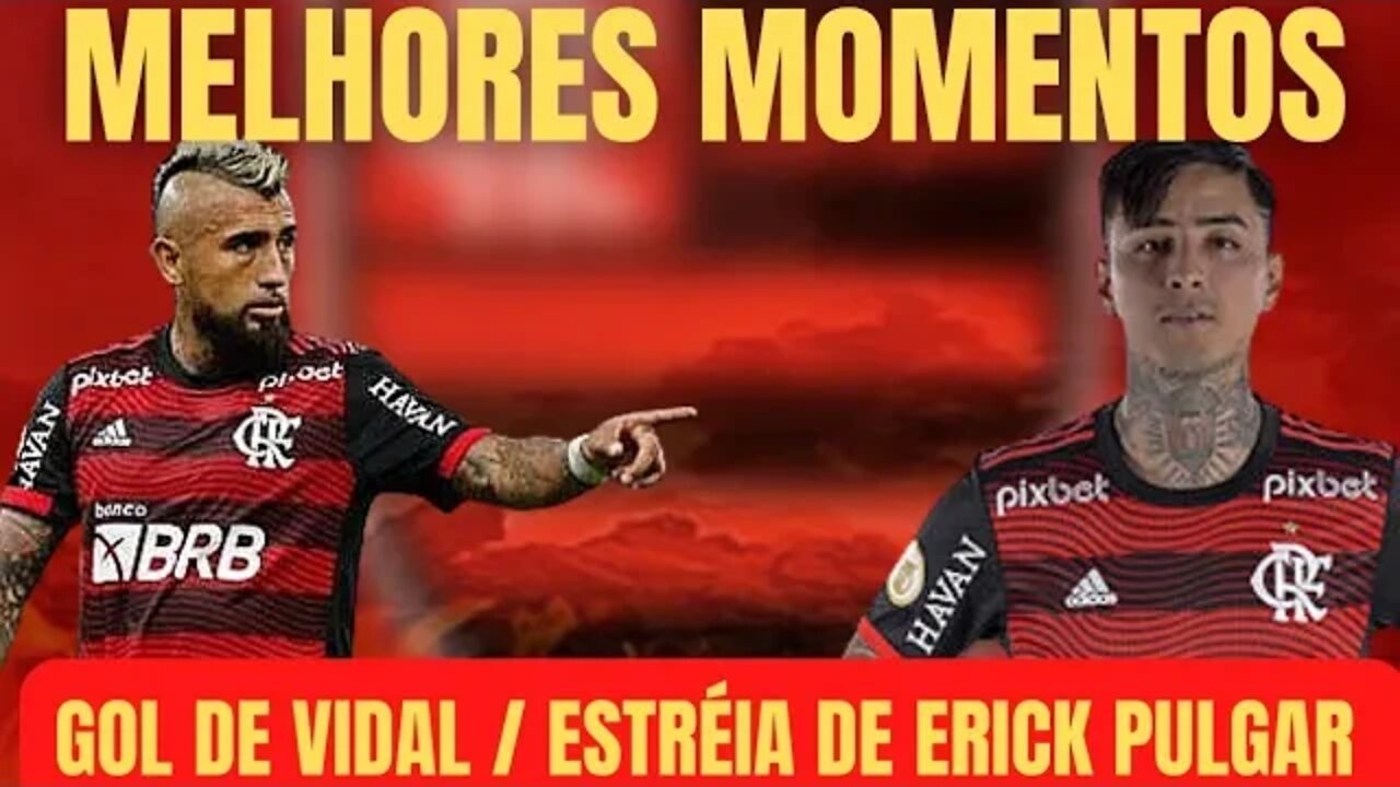 MELHORES MOMENTOS/BOTAFOGO x FLAMENGO/GOL DE VIDAL/ ESTRÉIA DE ERICK PULGAR