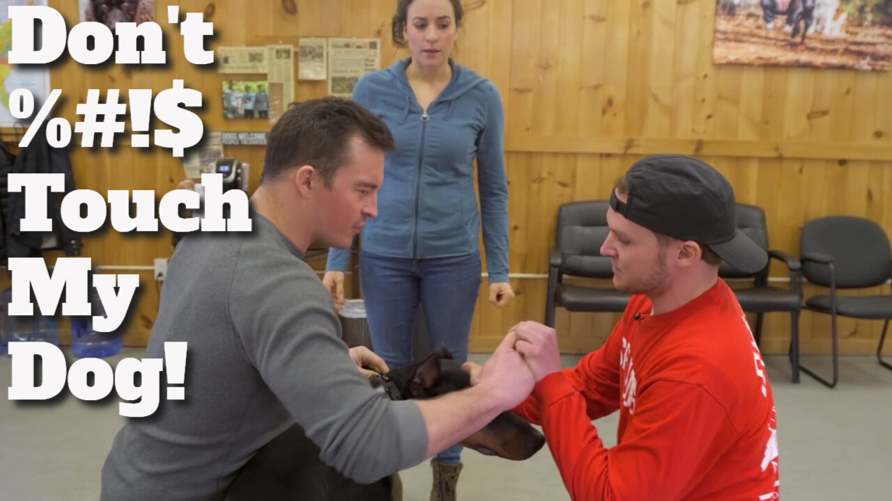 SHOCK COLLAR VERSUS REMOTE CONTROLLED E COLLAR (Dog Training 101)