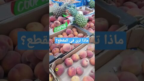 fruit فواكه