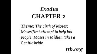 Exodus Chapter 2 (Bible Study)