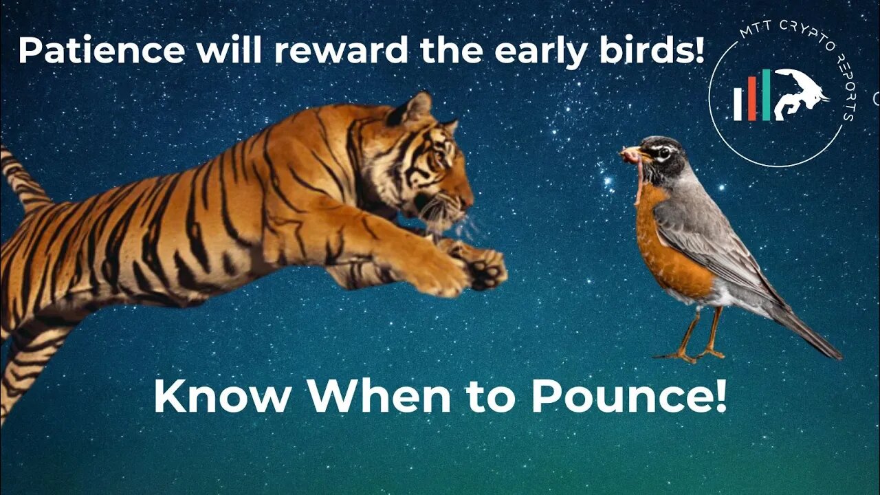 PATIENCE IS KEY! KNOW WHEN TO POUNCE! #BTC #ETH #cryptocurrency