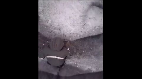 Amazing Rock Art - Give it a few seconds...