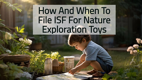 Navigating the ISF: Importer Security Filing for Nature Exploration Toys