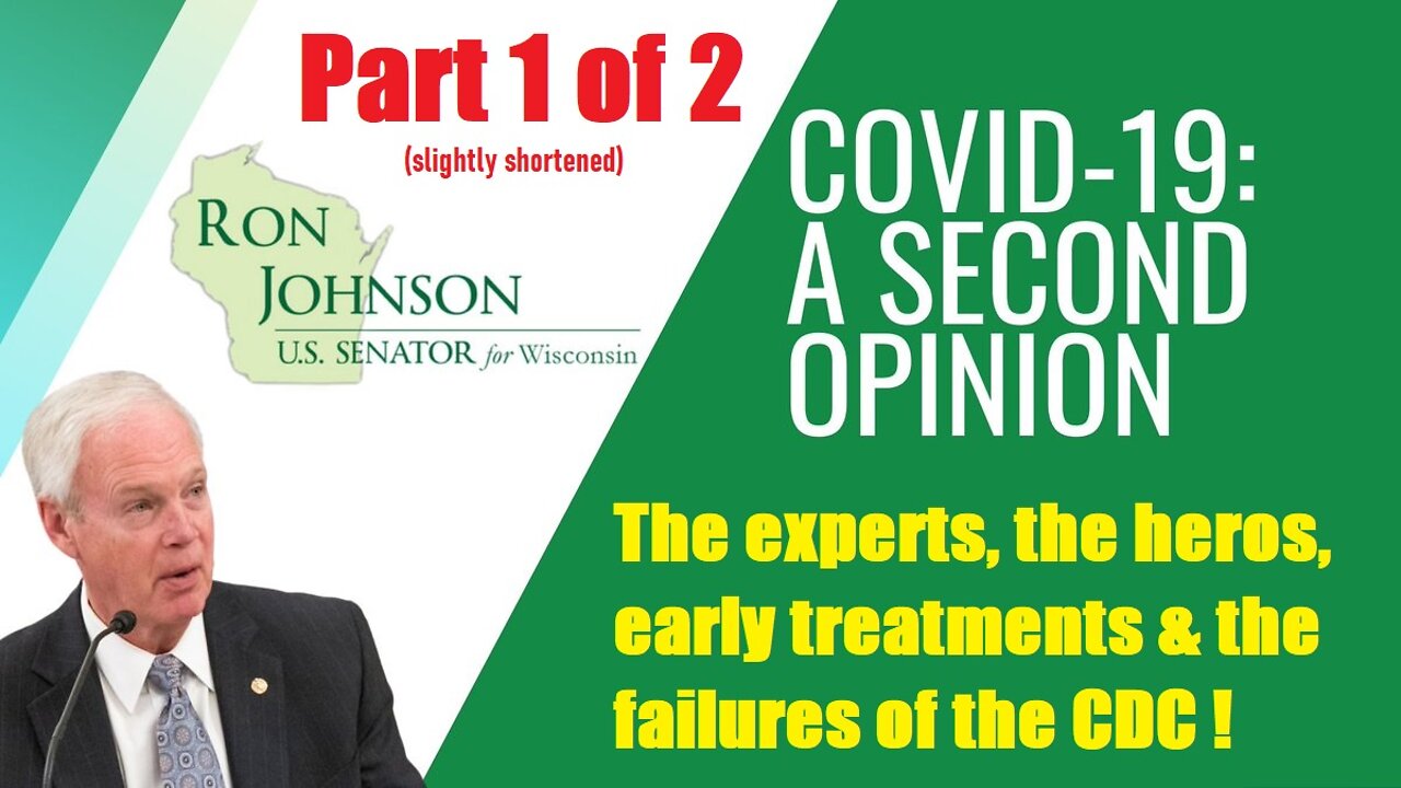 PART 1 🢂 SENATE COVID-19 PANEL: Experts, Heros, early treatments & the failure of the CDC & NIH !