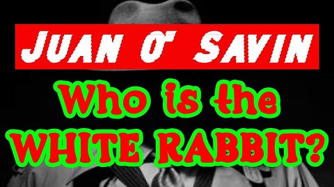 Juan Q' Savin ~ Who is the WHITE RABBIT?