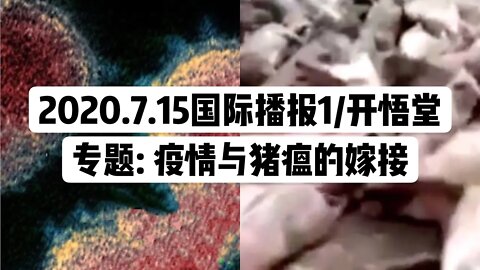 专题: 疫情与猪瘟的嫁接/2020.7.15国际播报1/开悟堂