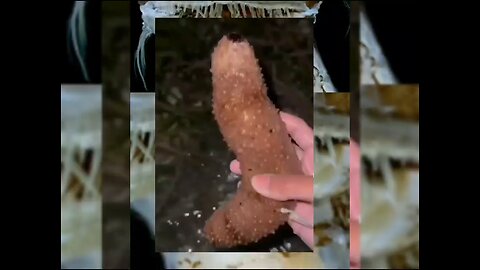 WOULD YOU GRAB THIS FOR $1,000,000?!!