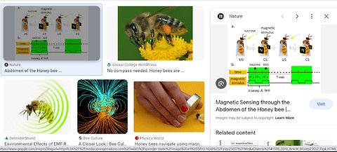 Live - Bees & Human Hiving/Adaptations - Frequency & Resonance as Life Energy Concepts