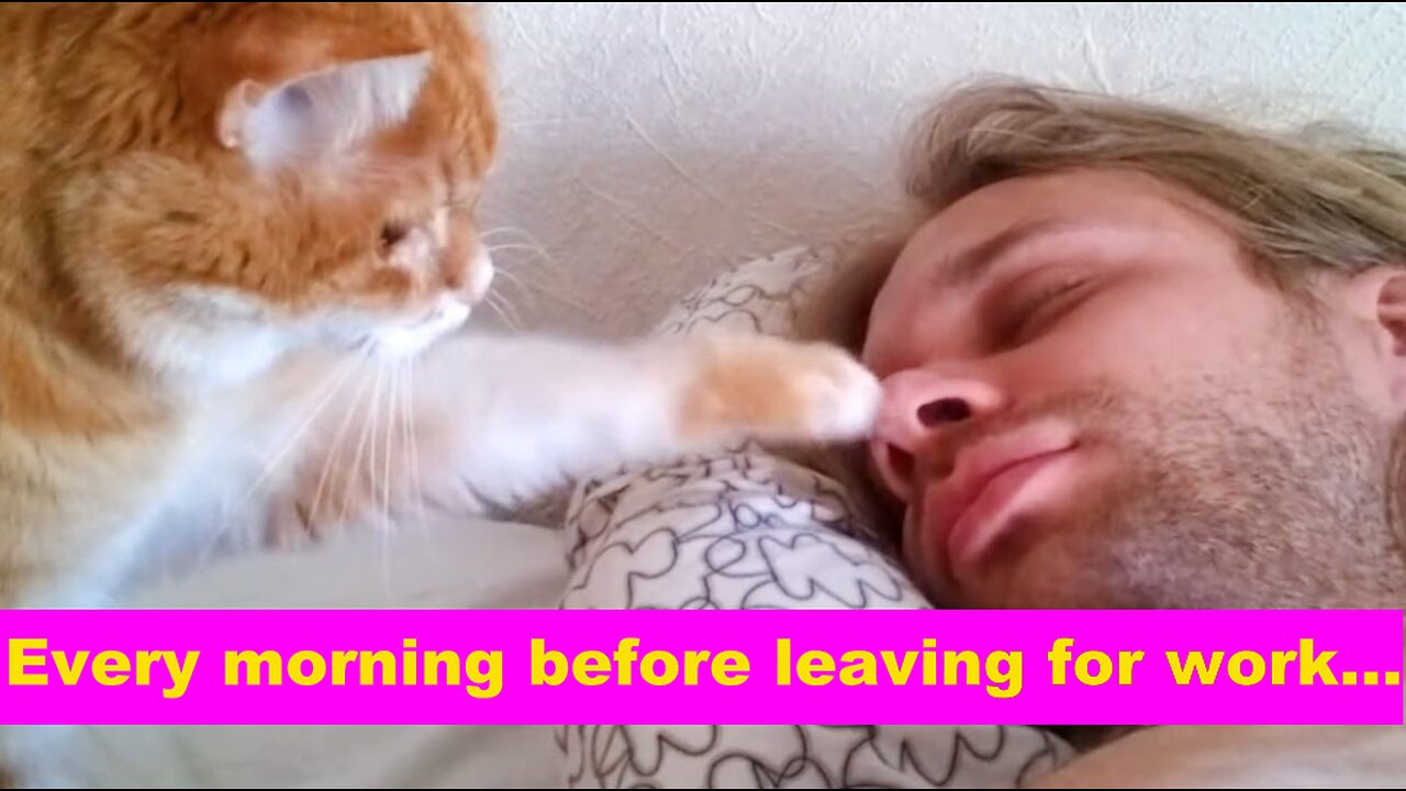 Every morning before leaving for work...
