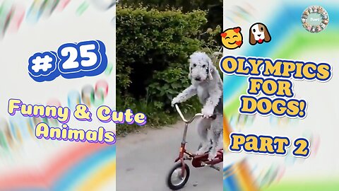 Doggie Olympics Part 2: Pedal Power 🛴🚴The Pup Cycling Championship! 😘😘😘# 25