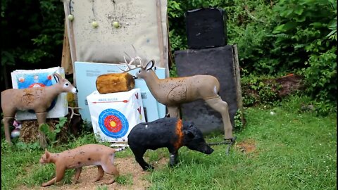 practice on a 3 d deer target