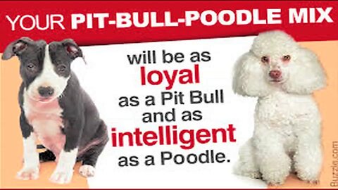 VEJAM O QUE ESSA MULHER FEZ APÓS O DIVÓRCIO!