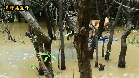 1: The Amazonian swamp forest, the environment is so harsh that people s scalp is numb