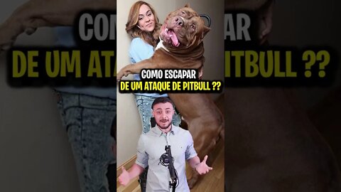 COMO ESCAPAR DE UM ATAQUE DE PITBULL