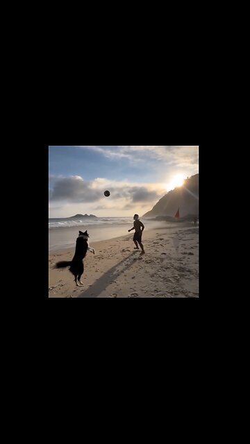 Sunrise Soccer At The Beach With Your Dog