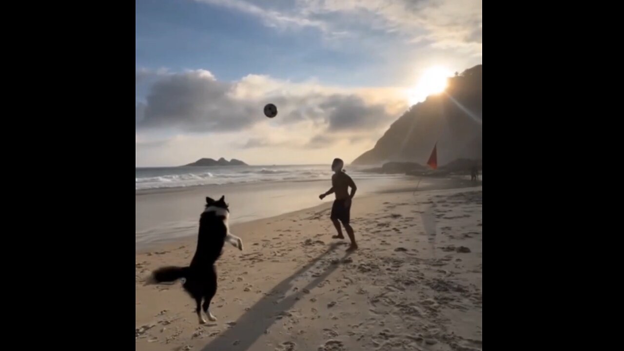 Sunrise Soccer At The Beach With Your Dog