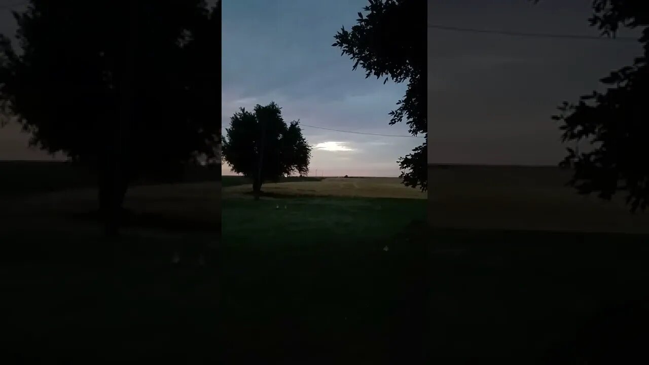 The Magic Of Fireflies Never Gets Old! 🪄